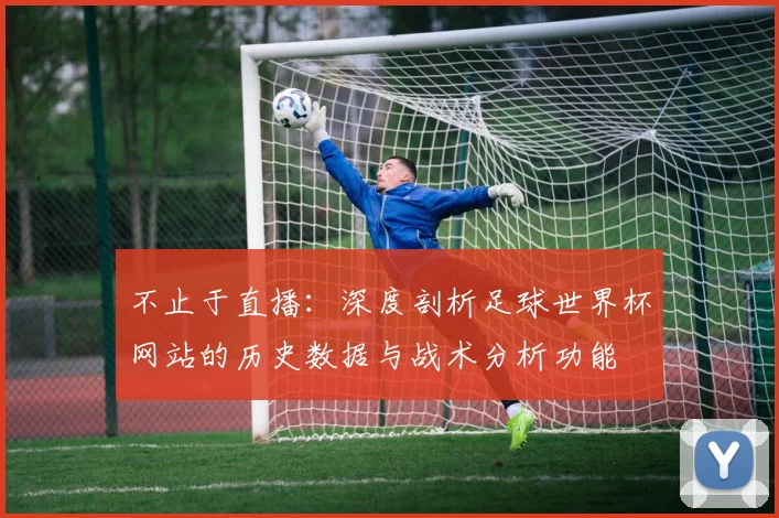 不止于直播:深度剖析足球世界杯网站的历史数据与战术分析功能