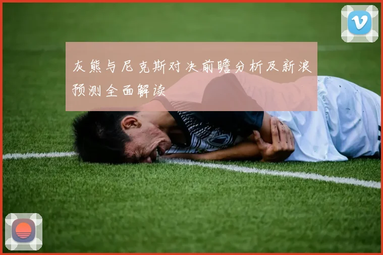 灰熊与尼克斯对决前瞻分析及新浪预测全面解读