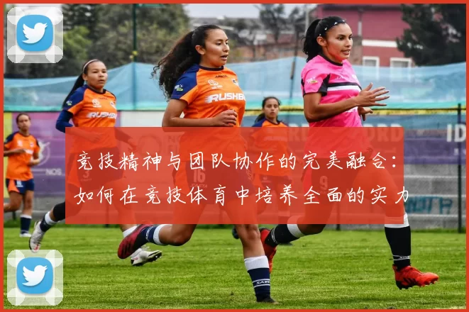 竞技精神与团队协作的完美融合：如何在竞技体育中培养全面的实力与凝聚力