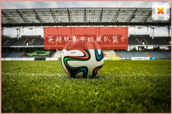 英超联赛中的狼队简介