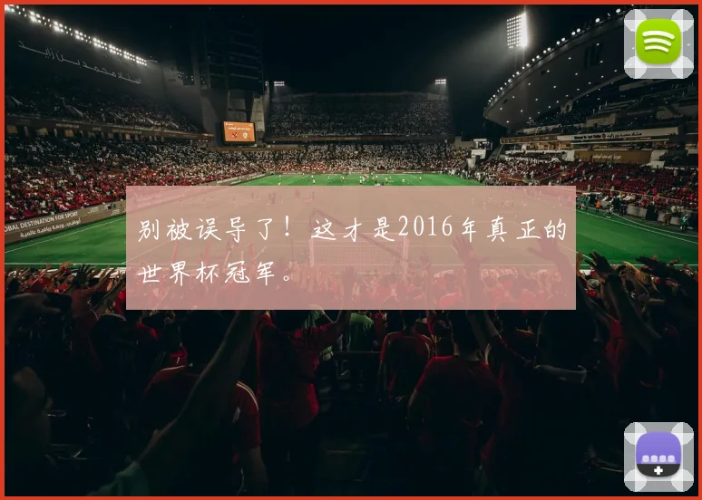 别被误导了！这才是2016年真正的世界杯冠军。