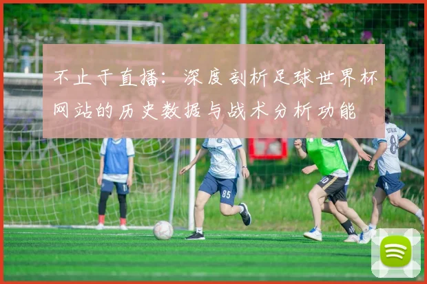 不止于直播:深度剖析足球世界杯网站的历史数据与战术分析功能