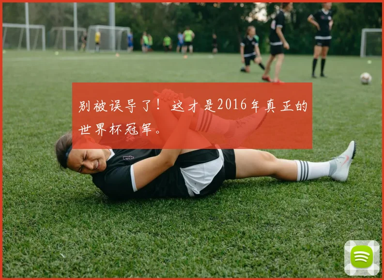 别被误导了！这才是2016年真正的世界杯冠军。