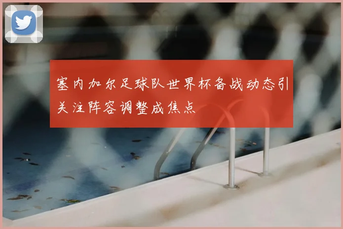 塞内加尔足球队世界杯备战动态引关注阵容调整成焦点