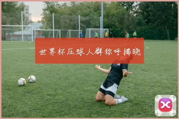 世界杯压球人群称呼揭晓