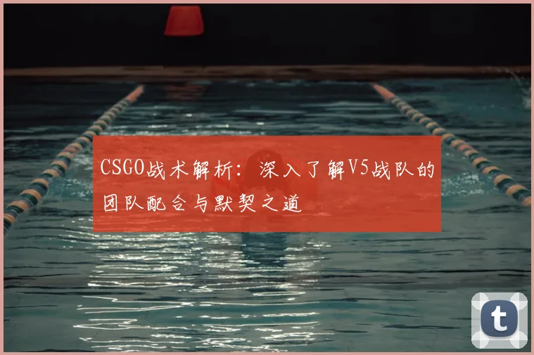 CSGO战术解析：深入了解V5战队的团队配合与默契之道