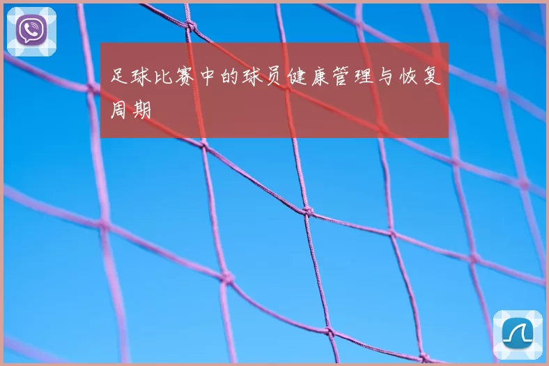 足球比赛中的球员健康管理与恢复周期
