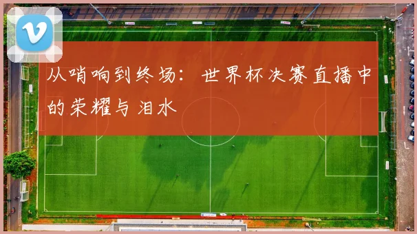 从哨响到终场:世界杯决赛直播中的荣耀与泪水