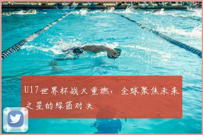 U17世界杯战火重燃,全球聚焦未来之星的绿茵对决