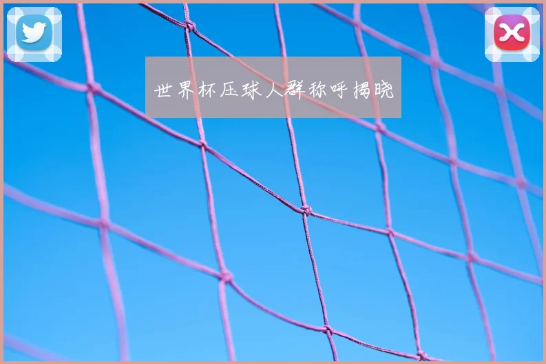 世界杯压球人群称呼揭晓