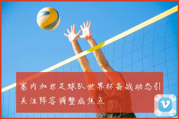 塞内加尔足球队世界杯备战动态引关注阵容调整成焦点