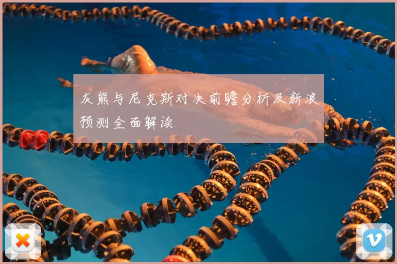 灰熊与尼克斯对决前瞻分析及新浪预测全面解读