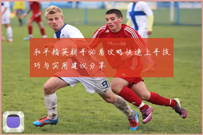 和平精英新手必看攻略快速上手技巧与实用建议分享