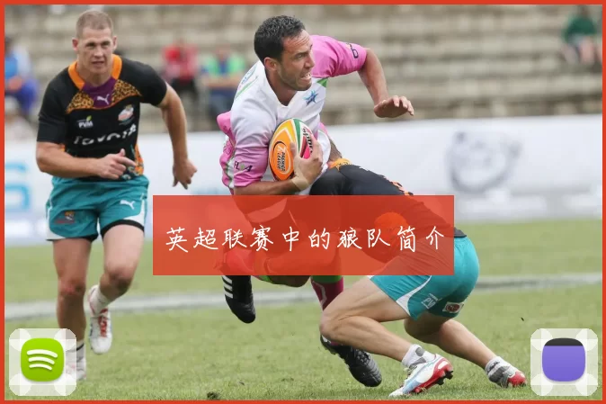 英超联赛中的狼队简介