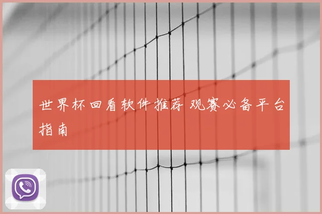 世界杯回看软件推荐 观赛必备平台指南