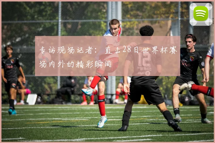 专访现场记者：直击28日世界杯赛场内外的精彩瞬间