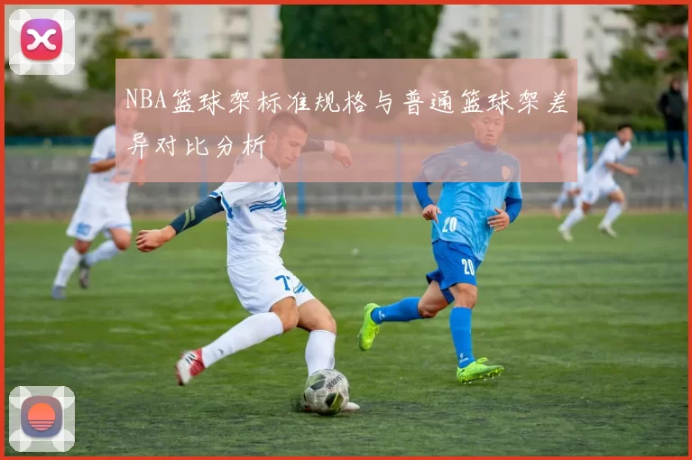 NBA篮球架标准规格与普通篮球架差异对比分析