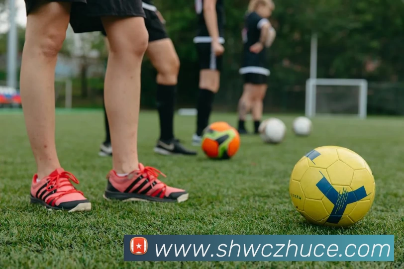 J9集团APP 封面图